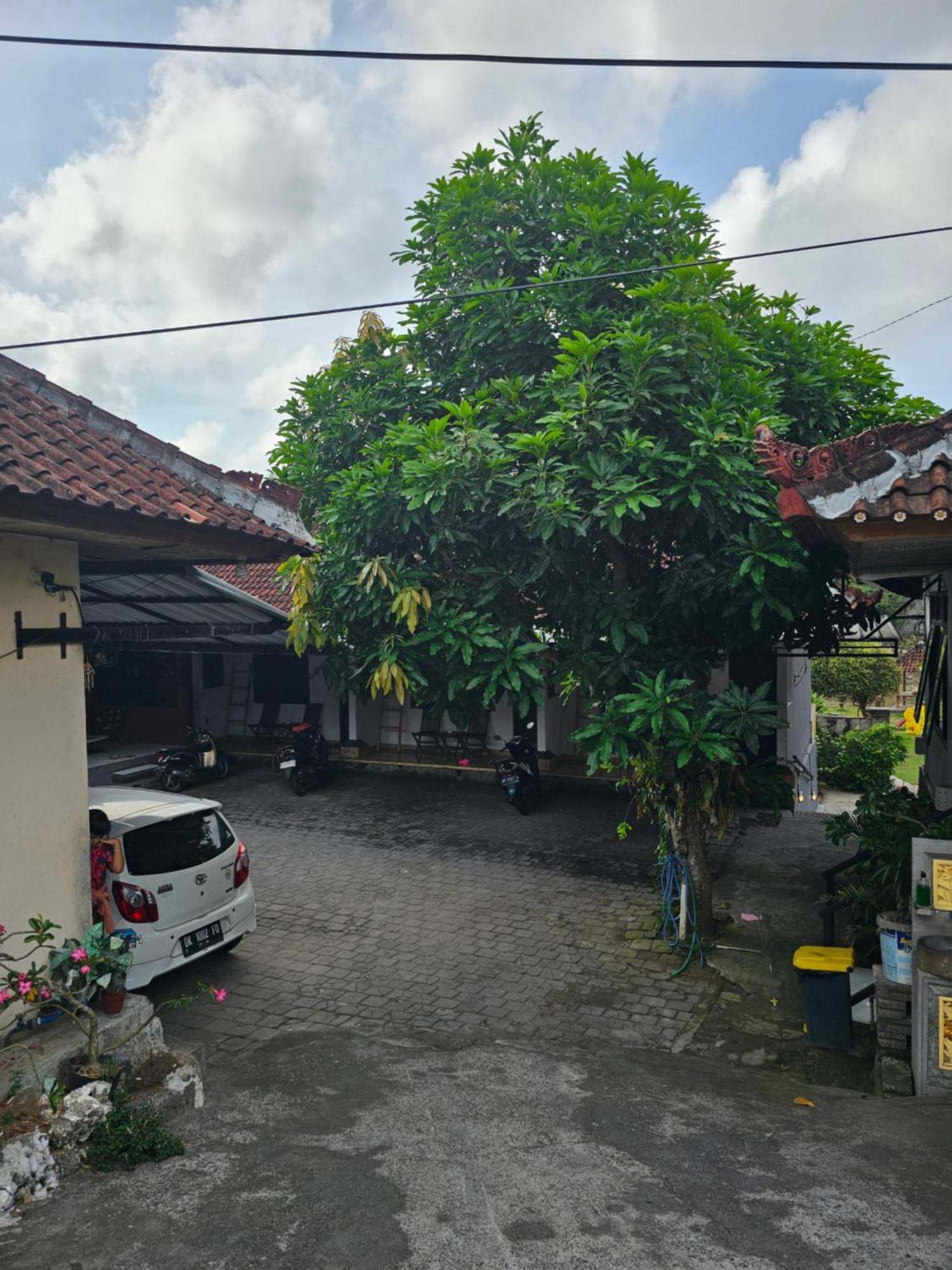 Padang-Padang Sari Homestay Uluwatu Cameră foto
